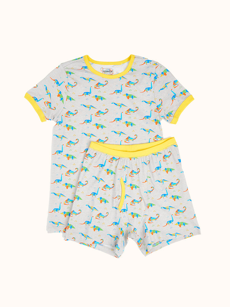 Boys' Geo Dino Short Sleeve Organic Cotton Pajama Set