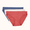Women's Seamless Bikini (5 Pack) - Assorted Colors