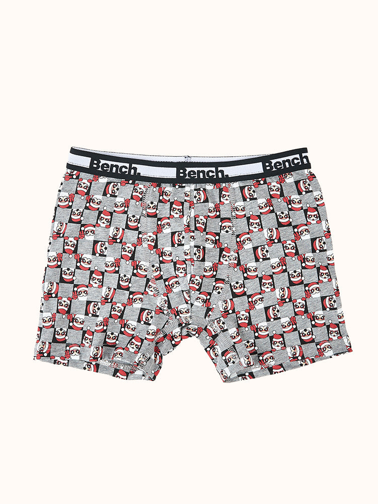 Boys' Holiday Boxer Briefs (3 Pack) - Assorted Colors